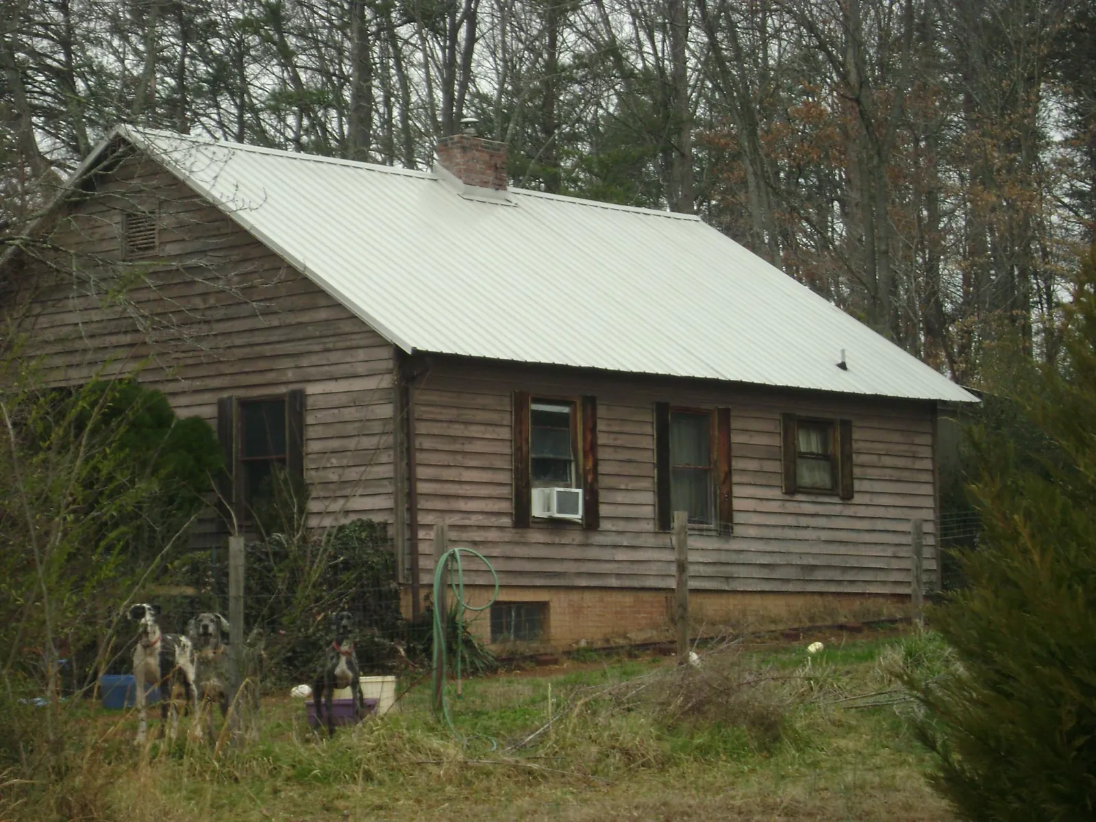 White metal roof on an old wood sided farmhouse, from a Asphalt Shingle Roof Repair job in Paw Paw
